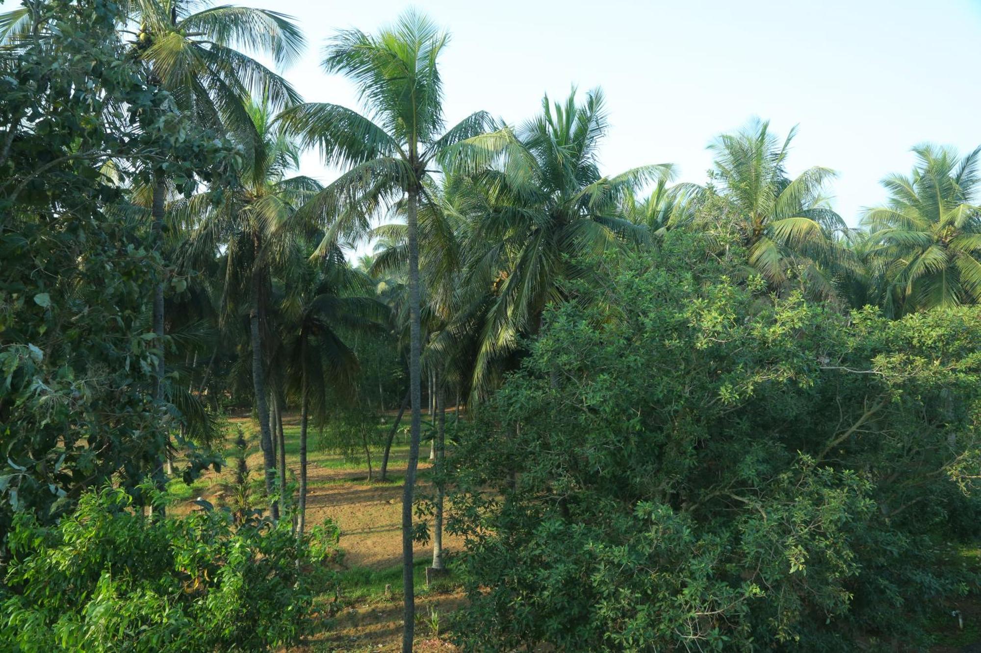 Misty Ocean - A Bergamont Group Of Hotel Kuilapalayam Exterior photo